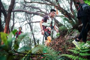 BIB: 
                            <button type="button" onclick="openModal(26295495)" class="btn btn-primary btn-sm float-right btn-popup" data-toggle="modal" data-target=".modal-high-quality">
                        <i class="fas fa-shopping-cart"></i> Add to Cart
                    </button>
                                            <button type="button" onclick="isThisMe(26295495, true)" class="btn btn-success btn-sm float-right btn-popup btn-isme hidden" data-toggle="tooltip" data-placement="bottom" title="นี่คือรูปของคุณใช่ไหม คลิกที่นี่เพื่อเอาเข้าอัลบั้ม">
                        <i class="fas fa-plus"></i> Add to album
                    </button>
                    <button type="button" onclick="isThisMe(26295495, false)" class="btn btn-warning btn-sm float-right btn-popup btn-isnotme hidden">
                        <i class="fas fa-ban"></i> Remove from album
                    </button>